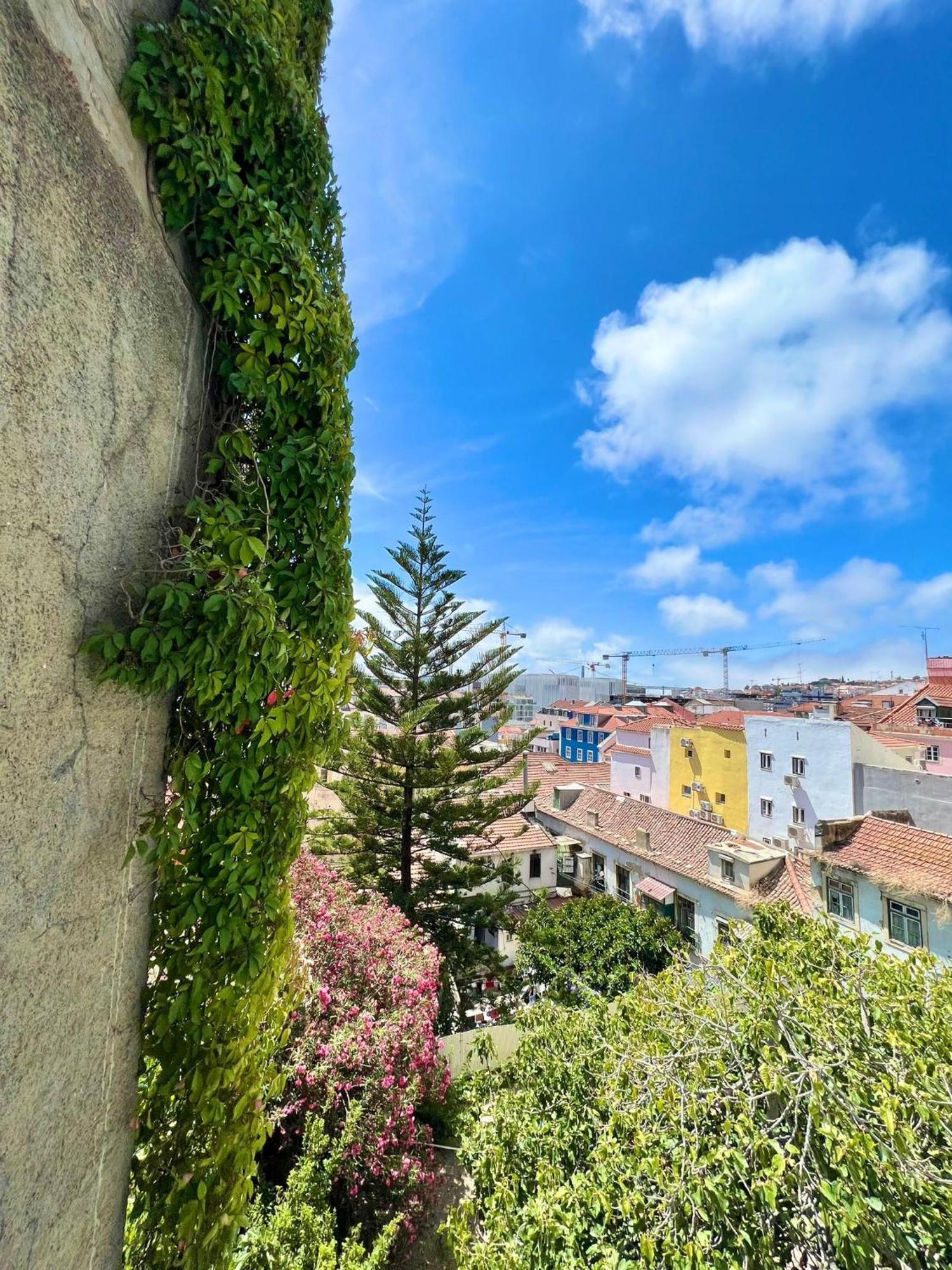 Frank'S House & Happy Downtown Apartment Lisboa Ngoại thất bức ảnh